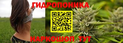 крисы Бузулук