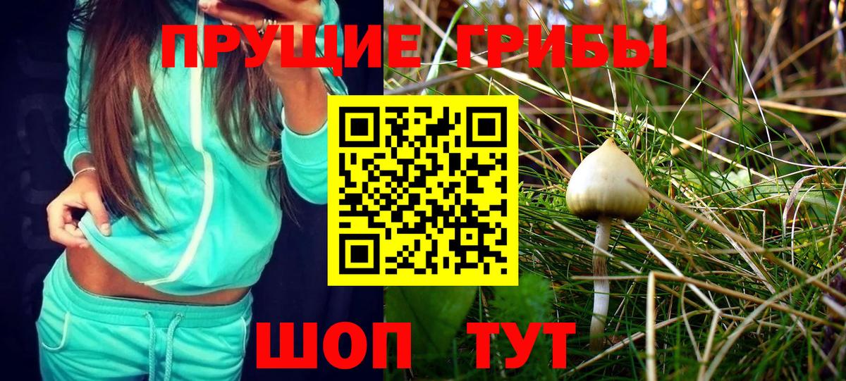 Псилоцибиновые грибы ЛСД Лыткарино