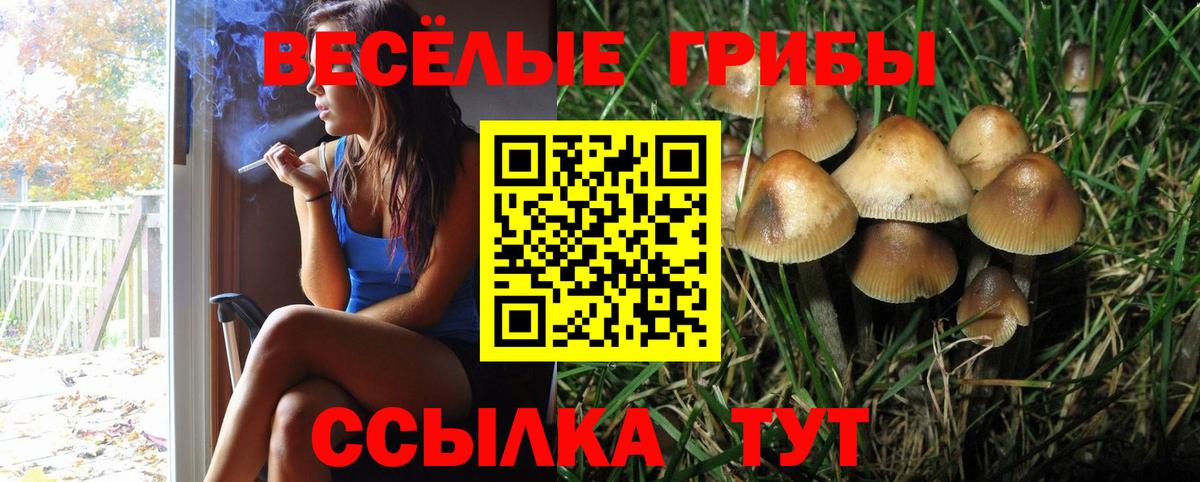 Галлюциногенные грибы прущие грибы  Вход с VPN  Лыткарино 